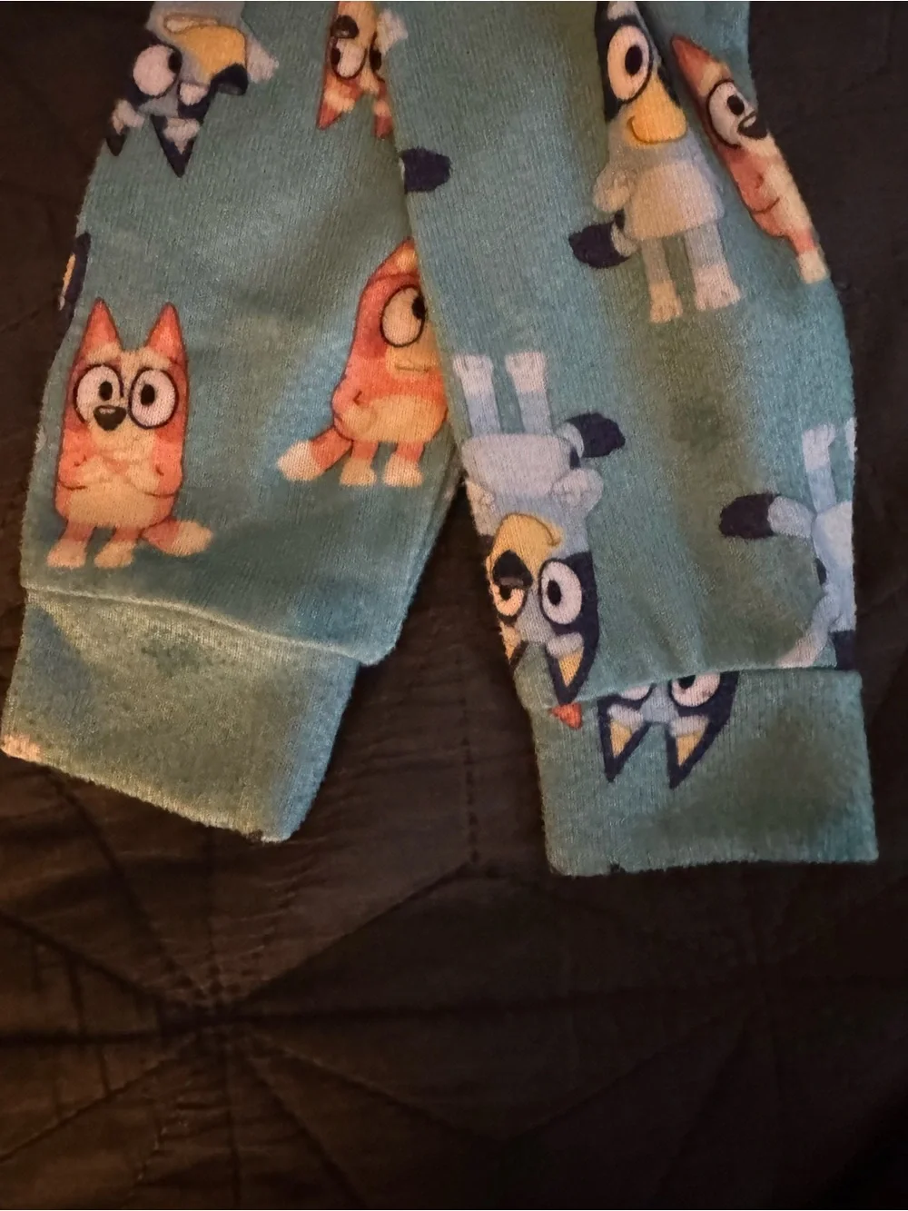 Bluey Kids Two-Piece Pajama Set in Teal & Cream